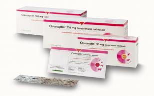 Clavaseptin Hospitalar todos Clavaseptin Hospitalar todos